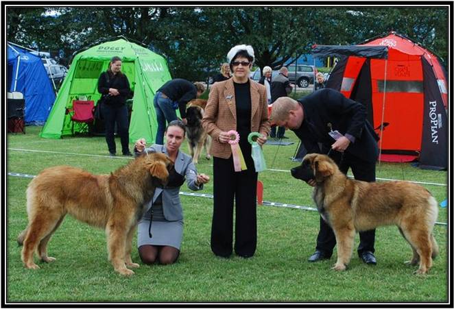 Dragongrdens Kennel
